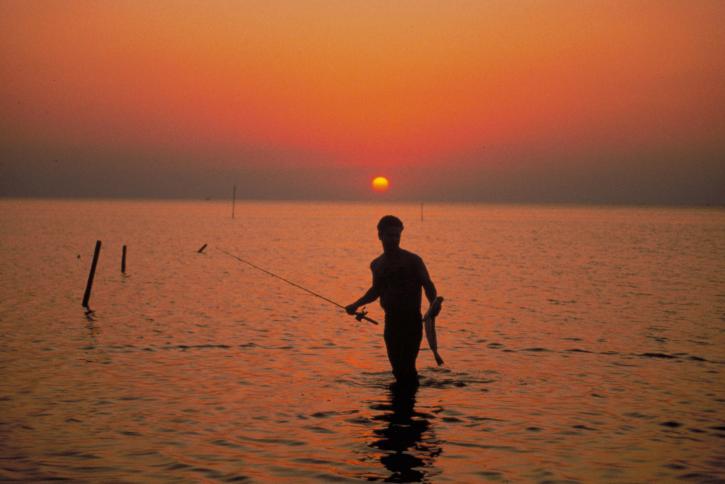 fiske i solnedgången,