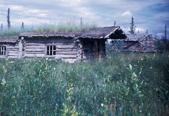 trapper, cabin